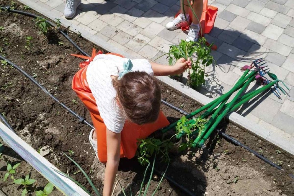 Devojčica sadi cveće u bašti vrtića