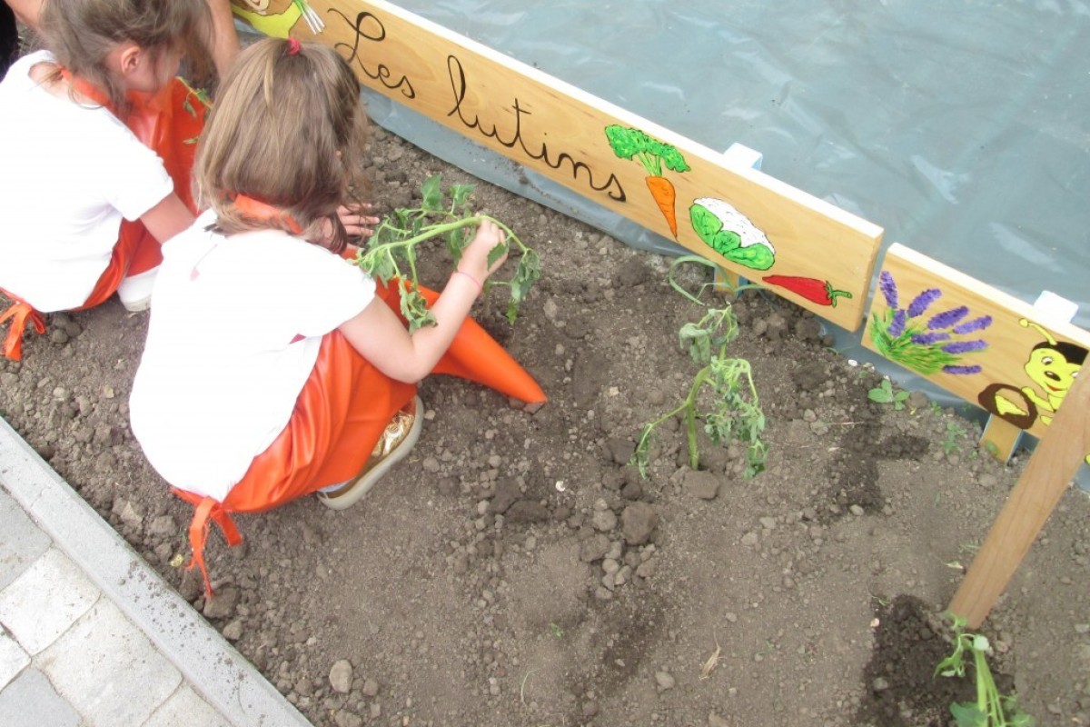 Devojčice sade biljke u bašti vtića