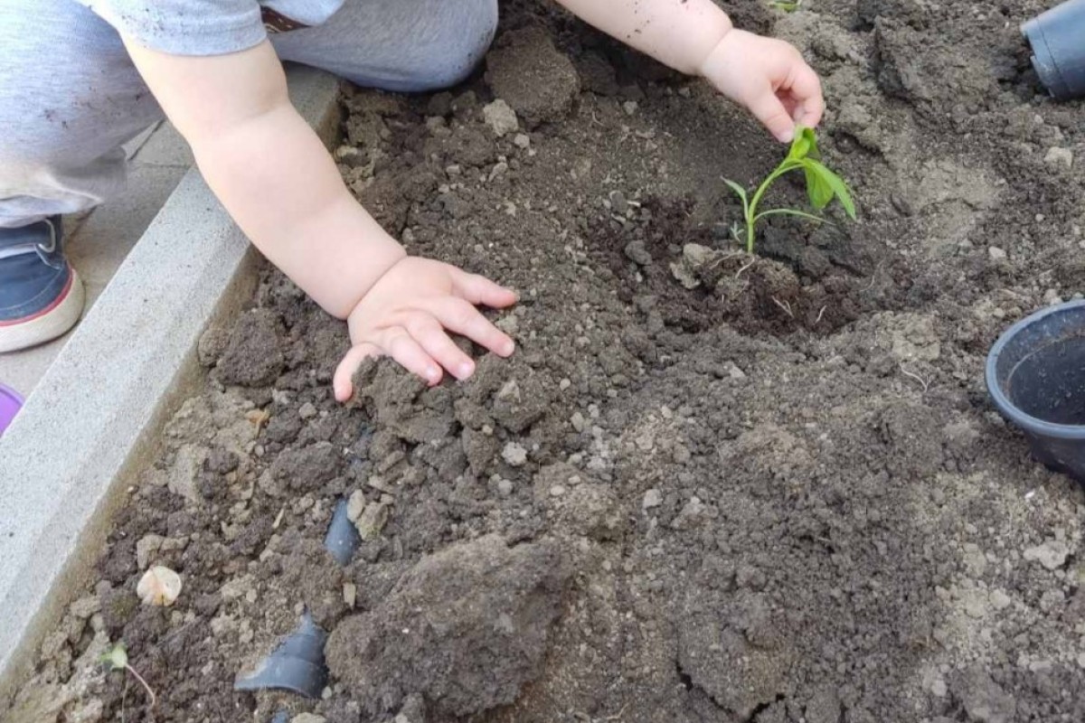 Dečak neguje biljku u bašti vrtića