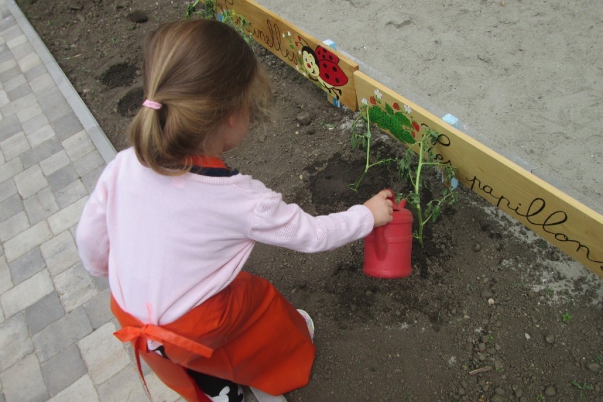 Devojčica zaliva biljku u bašti vrtića